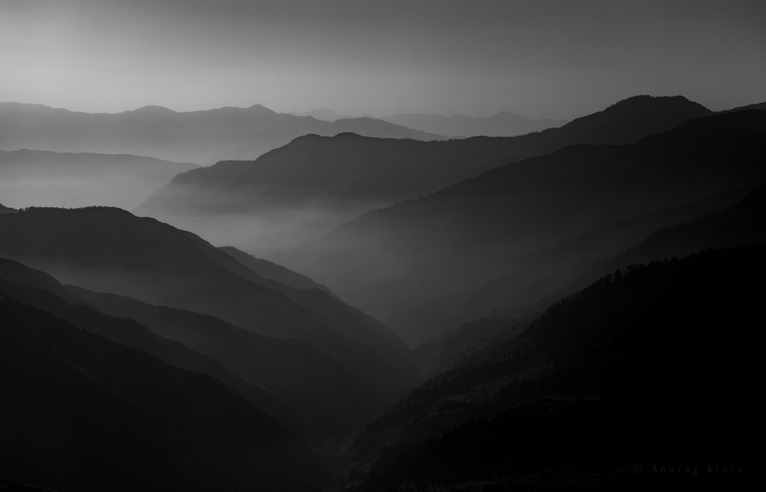 A Foggy Morning in Himalayas, India