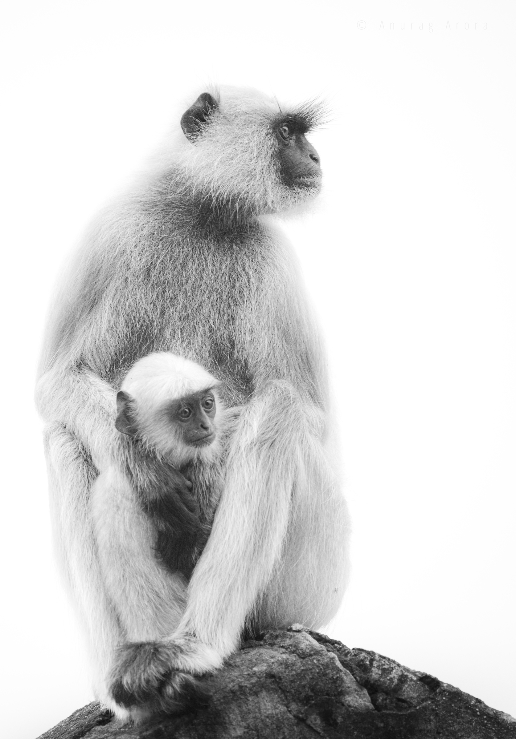 Motherly Love