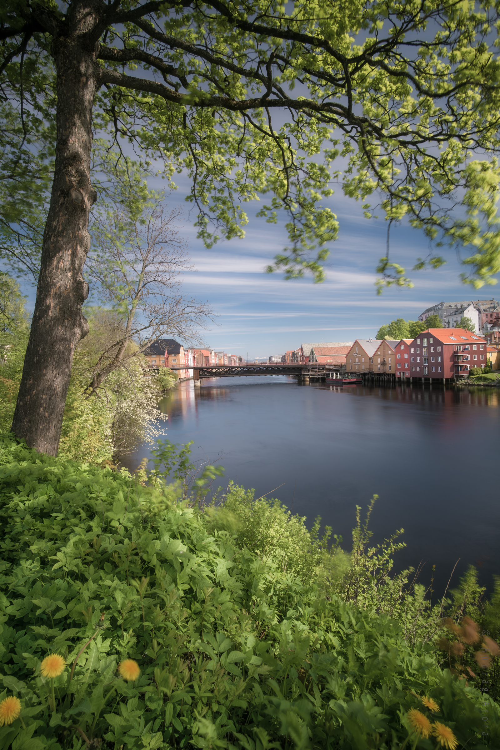 River Nidelva, Trondheim, Norway
