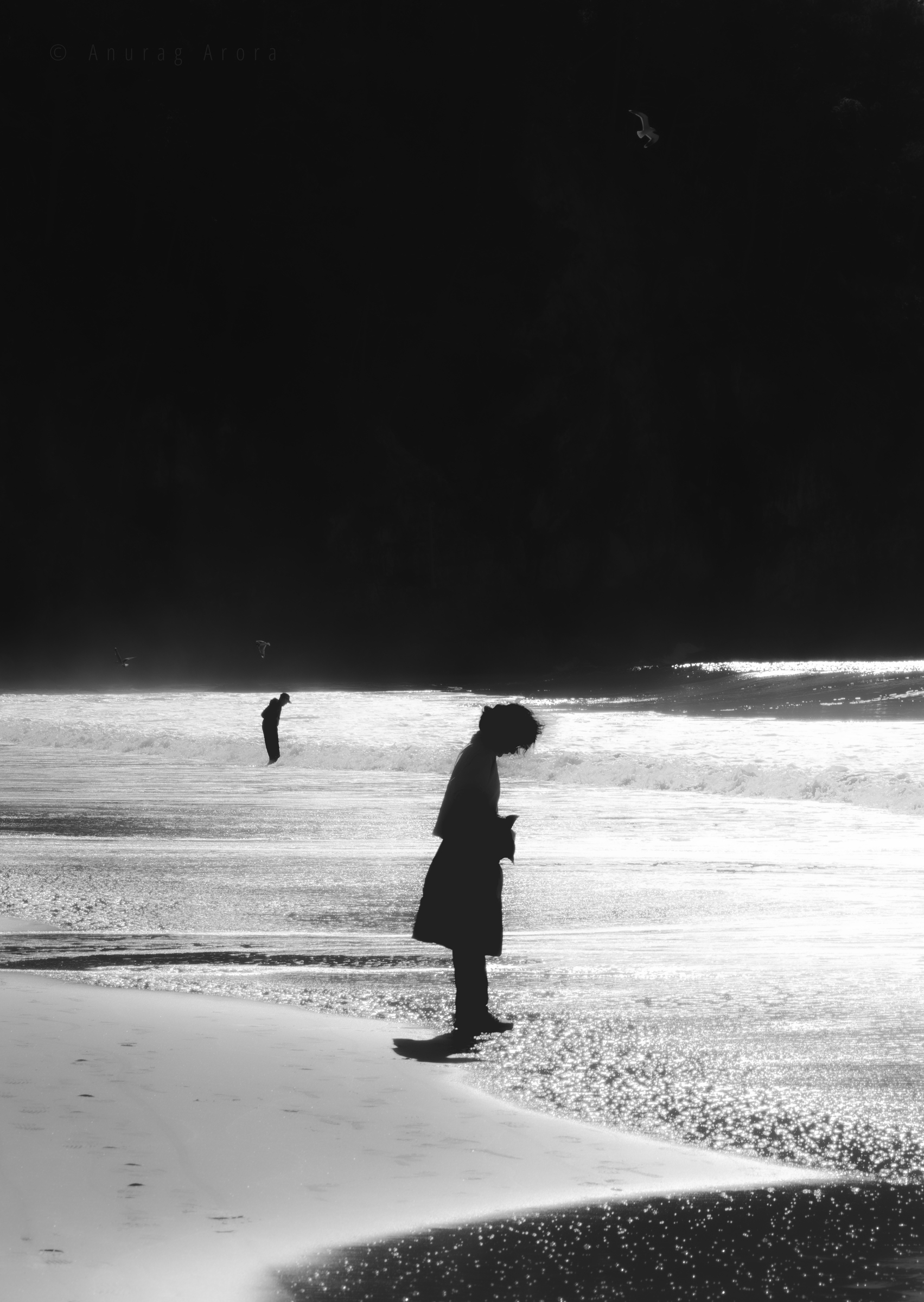 Search in Sync, Hahei, New Zealand