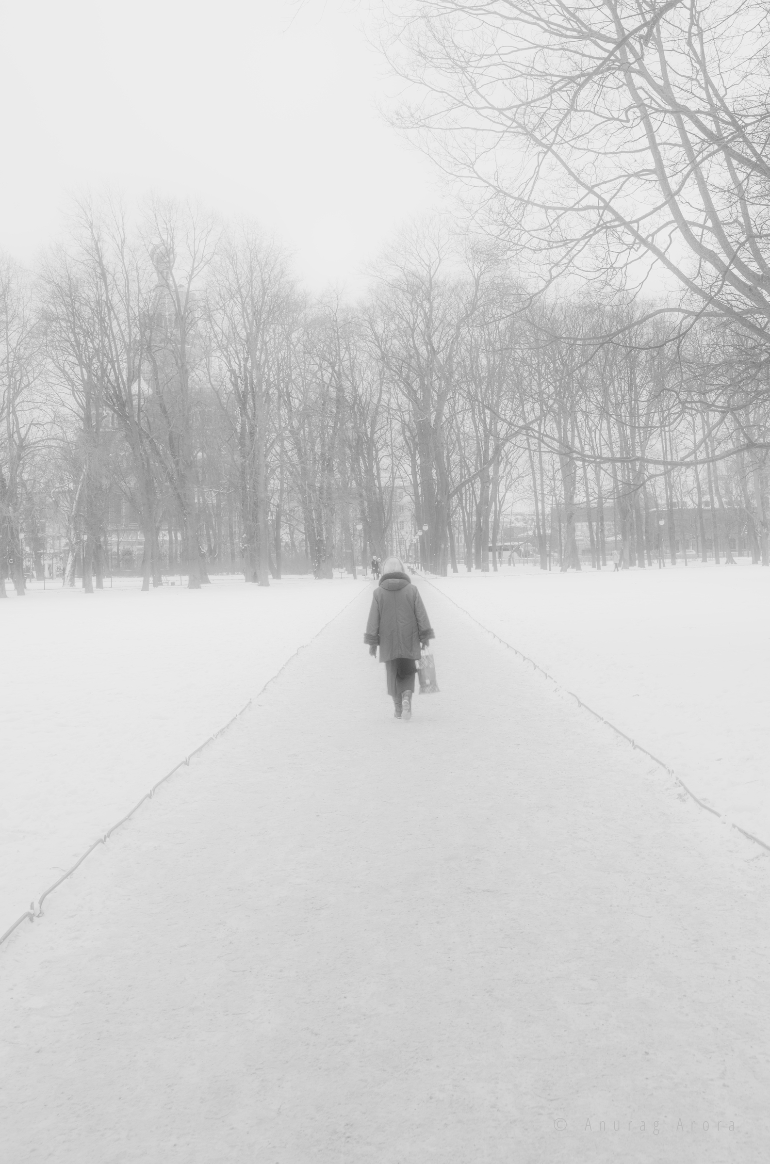 Woman Walking in a Snowy Winter of Russia